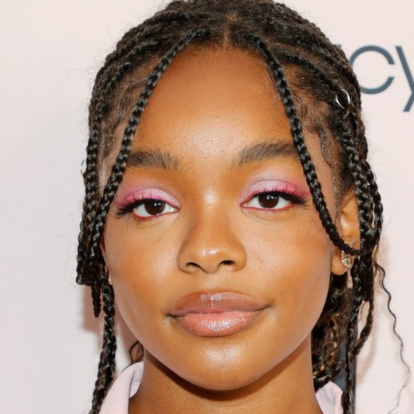 knotless braid updo hairstyles